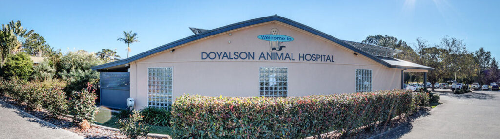 Doyalson Animal Hospital Building