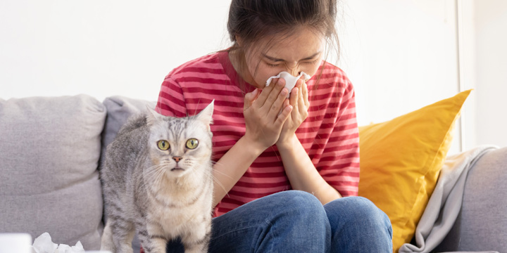 Is Your Pet Making You Sneeze? - Doyalson Animal Hospital