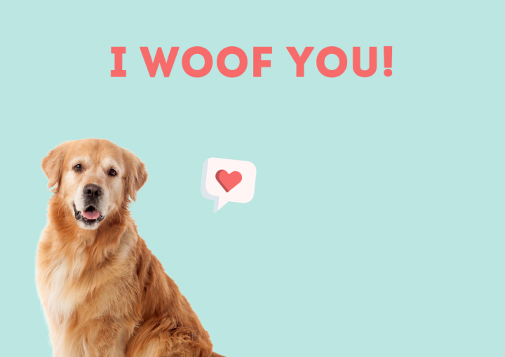Paws for Love: How to Tell That Your Pet Loves You